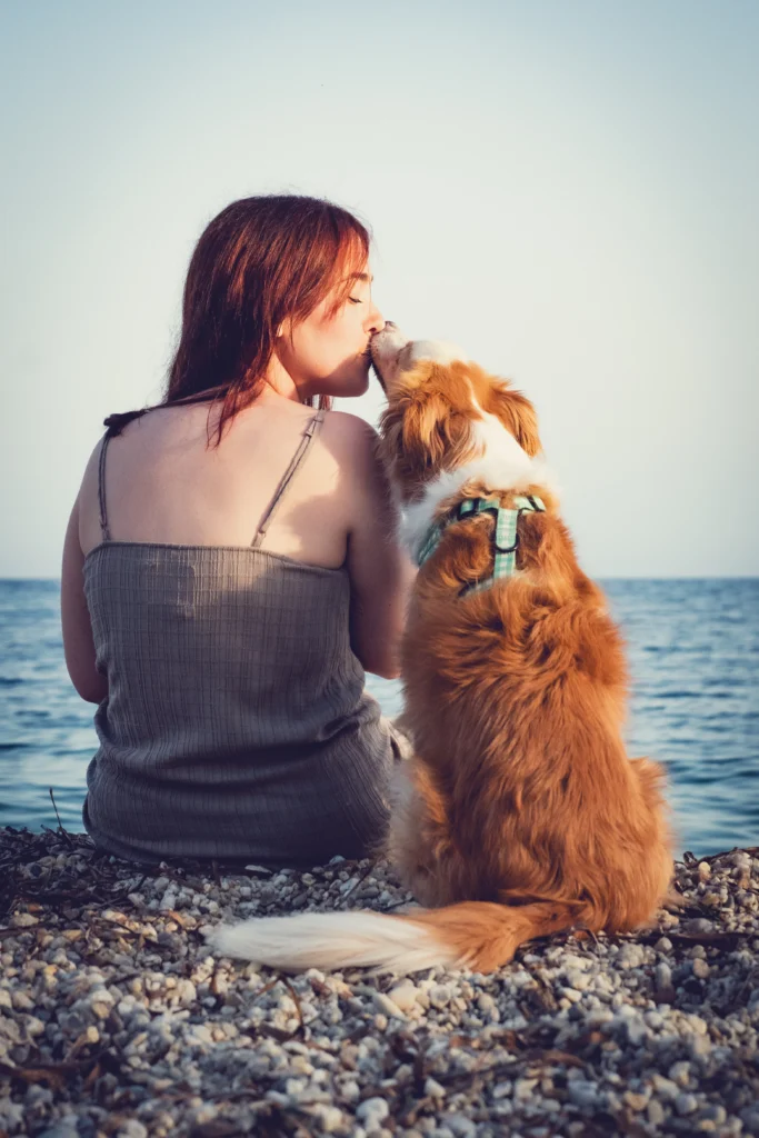 Retrato personalizado fotografia de perros y mascotas. hecha por un fotografo de perro
