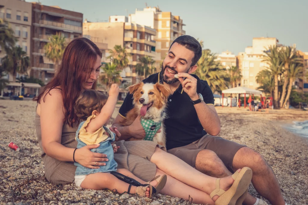 Fotos de perros