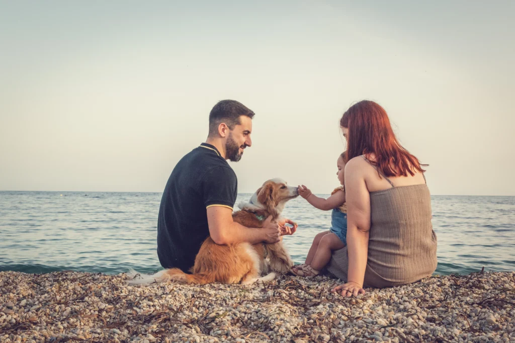 Fotografos de perros Murcia