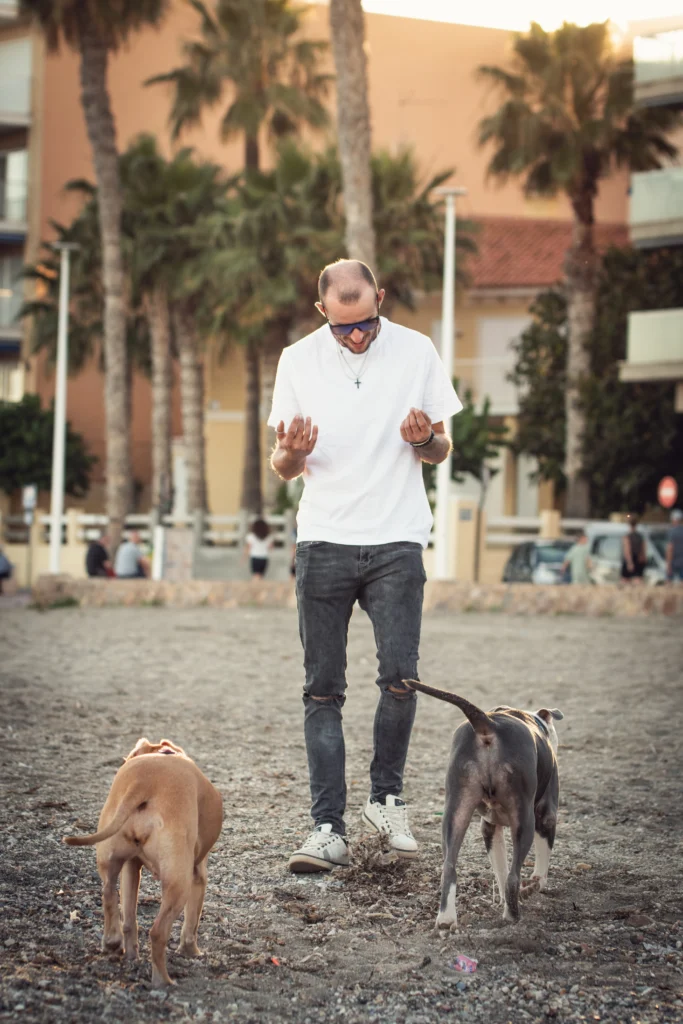 fotografo de mascotas Murcia