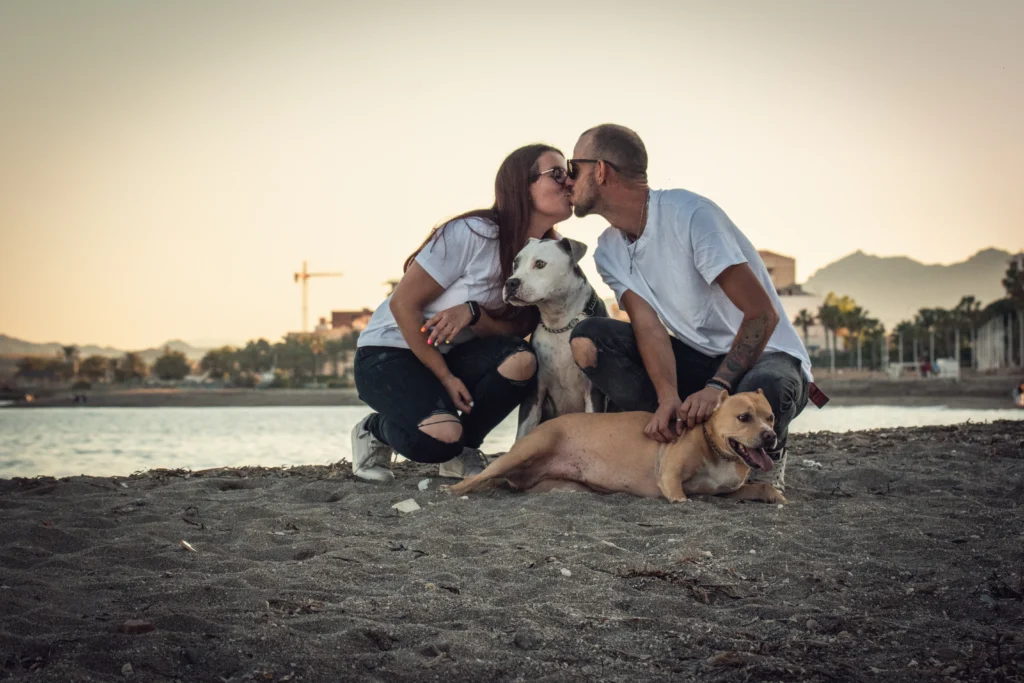 fotografo de perros murcia