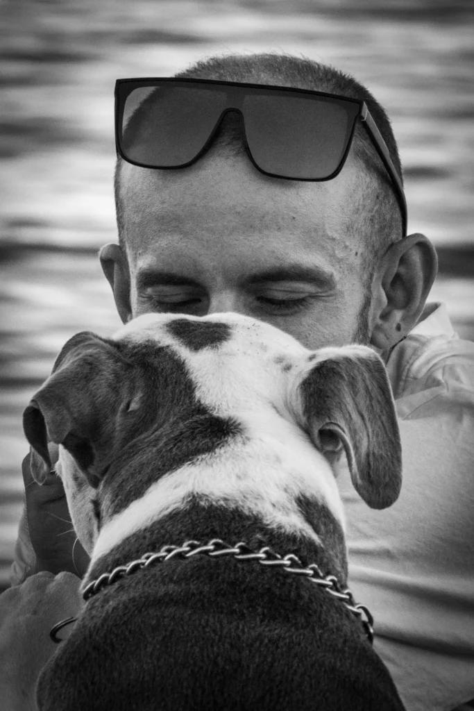 Fotos bonitas de un perro