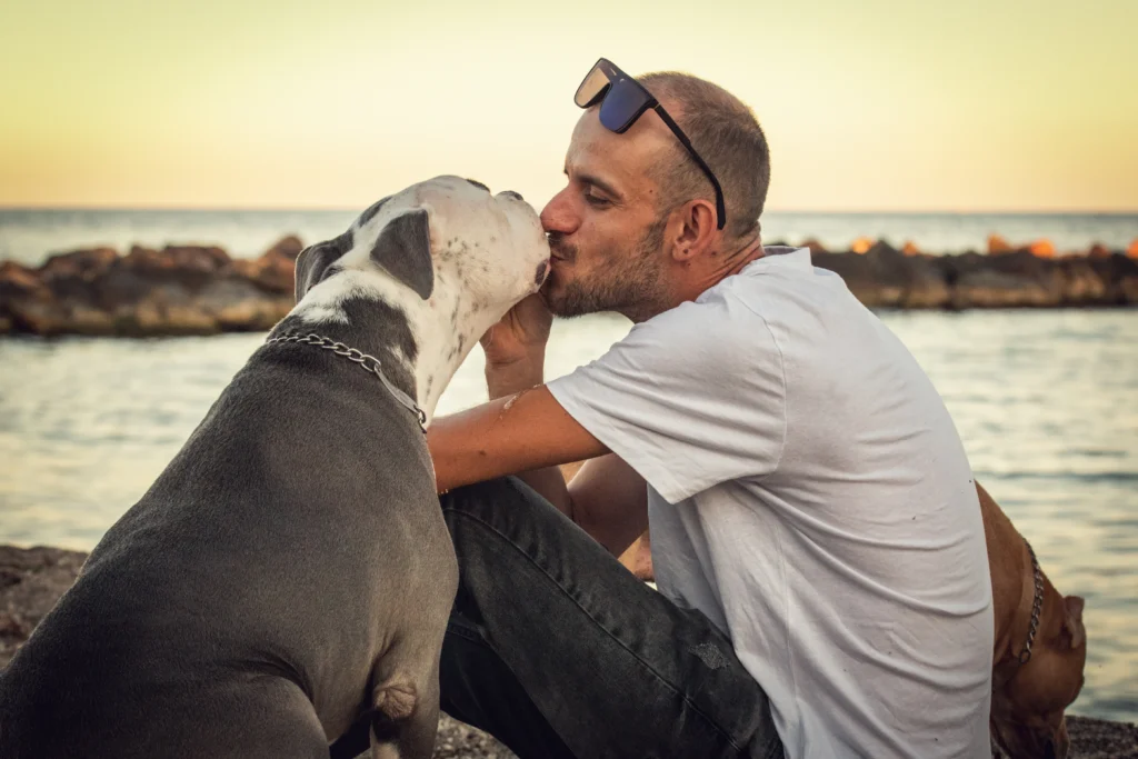 Fotos de perros.